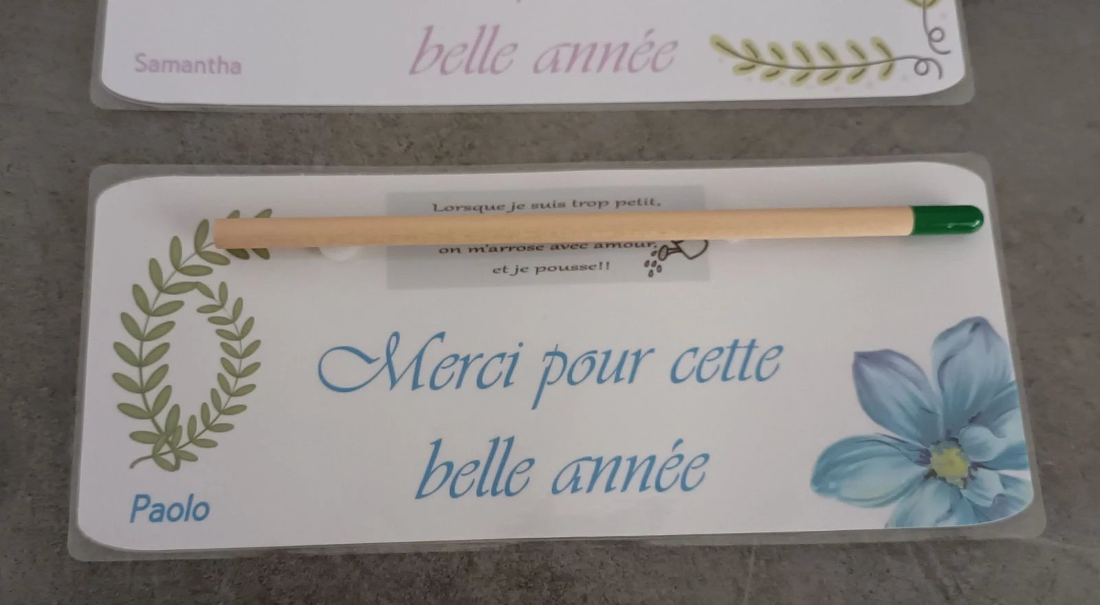Tarjeta de lápiz para plantar – photo 2